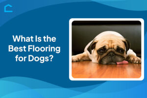 What Is the Best Flooring for Dogs?