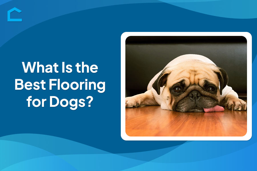 What Is the Best Flooring for Dogs