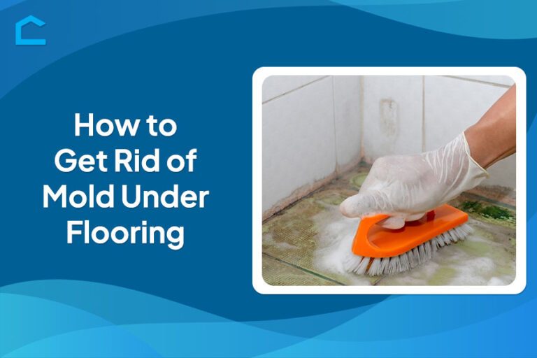 How to Get Rid of Mold Under Flooring