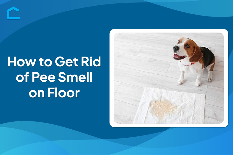 How to Get Rid of Pee Smell on Floor