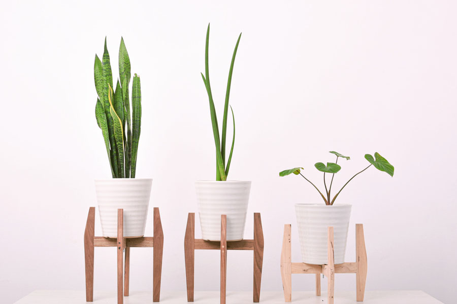 Planters and Plant Stands