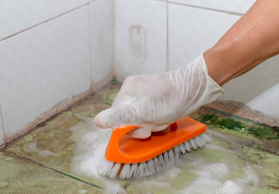 Removing Mold Under Flooring