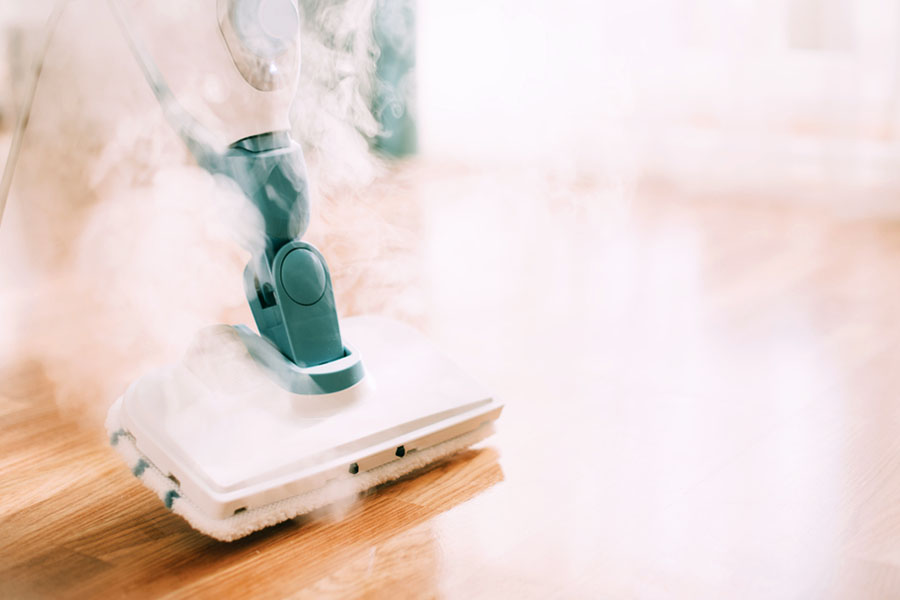 Steam Cleaner