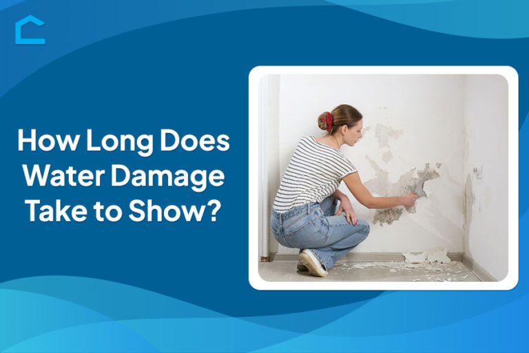 How Long Does Water Damage Take to Show?