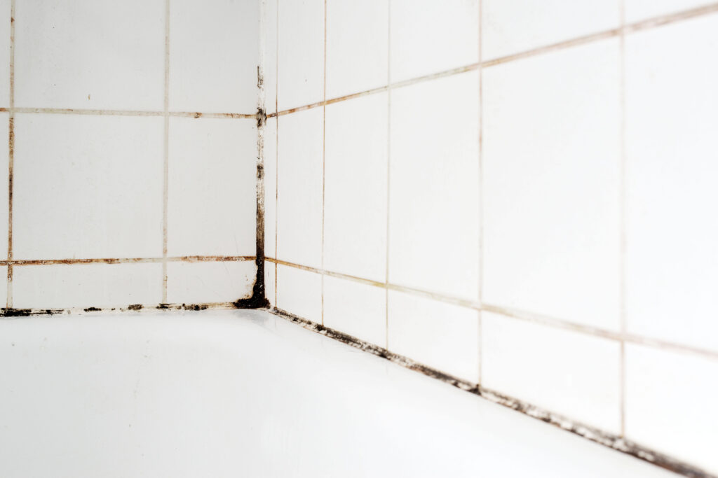 How to Prevent Water Damage in Bathroom