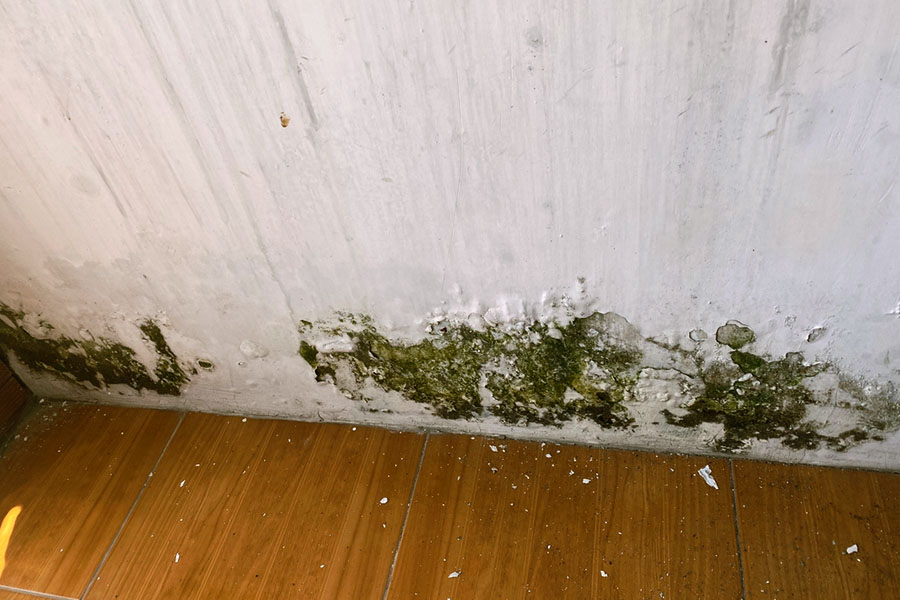 Signs of Moisture Intrusion