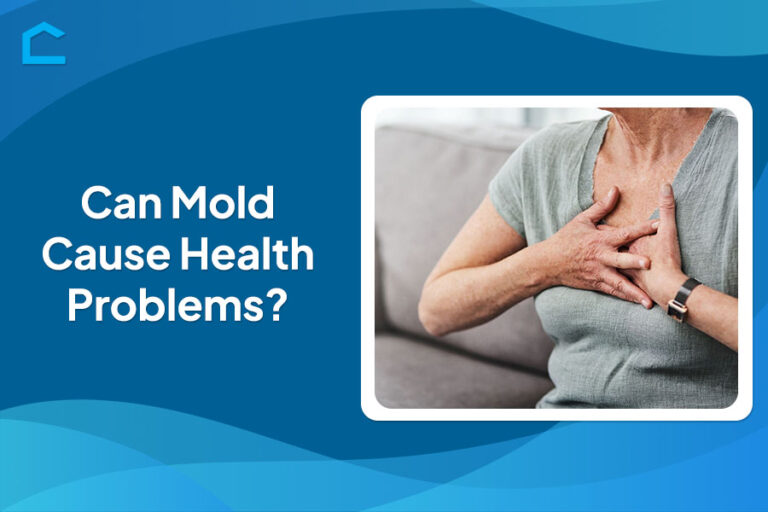 Can Mold Cause Health Problems?