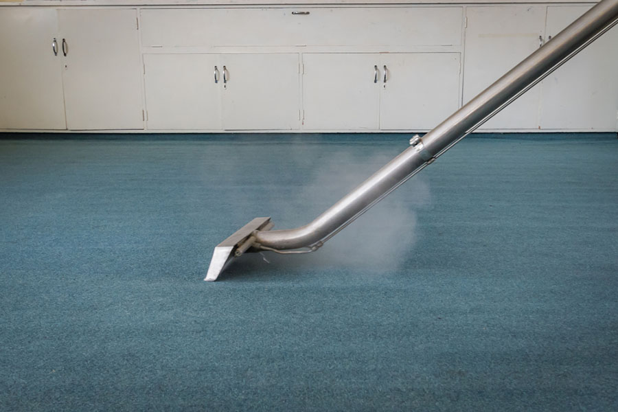 Deep cleaning the carpet