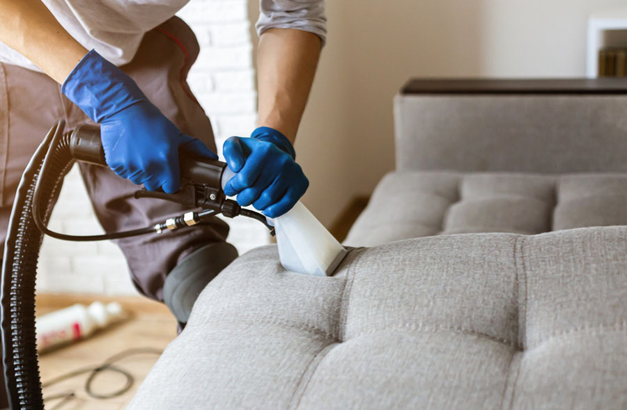 Drying and Inspecting the Furniture