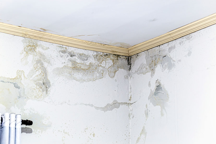 Effects of untreated water damage