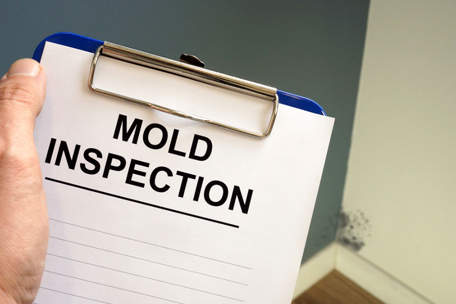 How Long Does a Mold Inspection Take