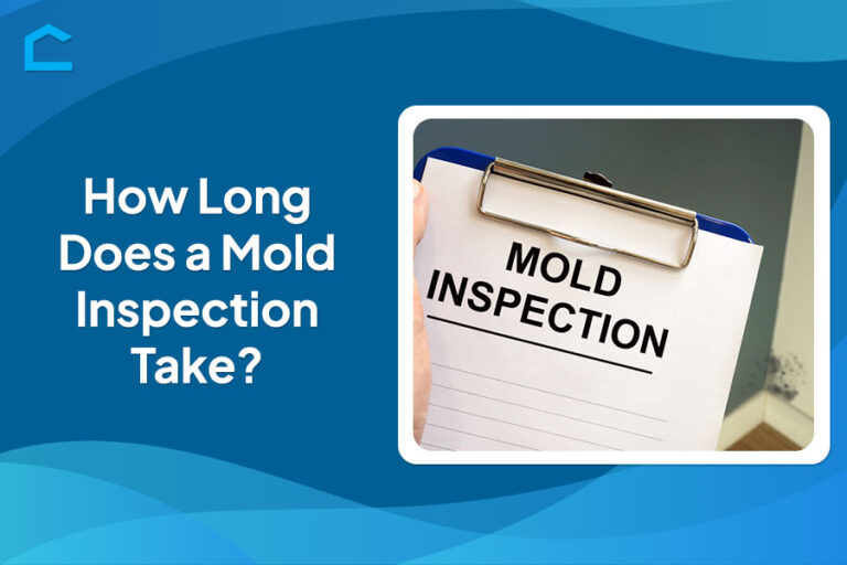 How Long Does a Mold Inspection Take?