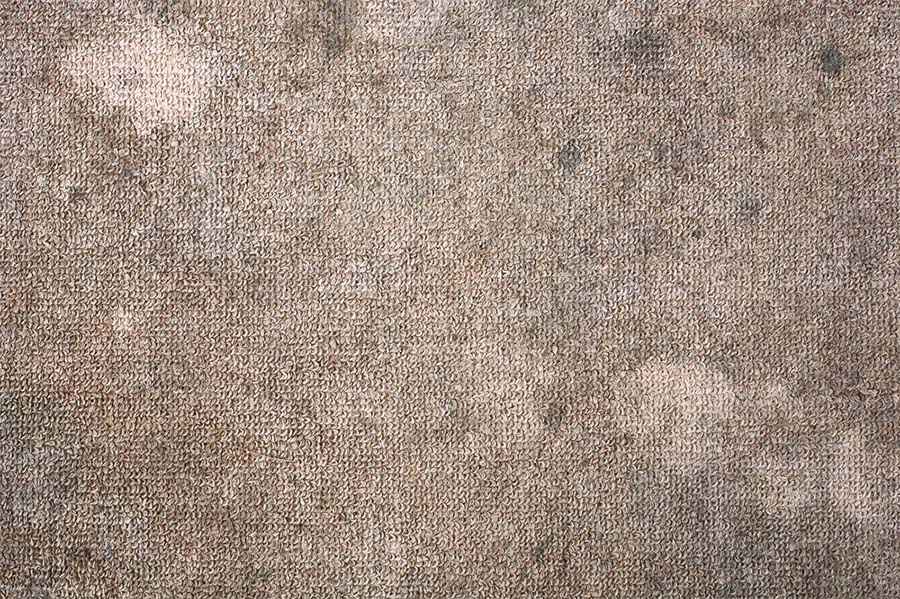 How to Clean Mold in Carpet From Water Damage