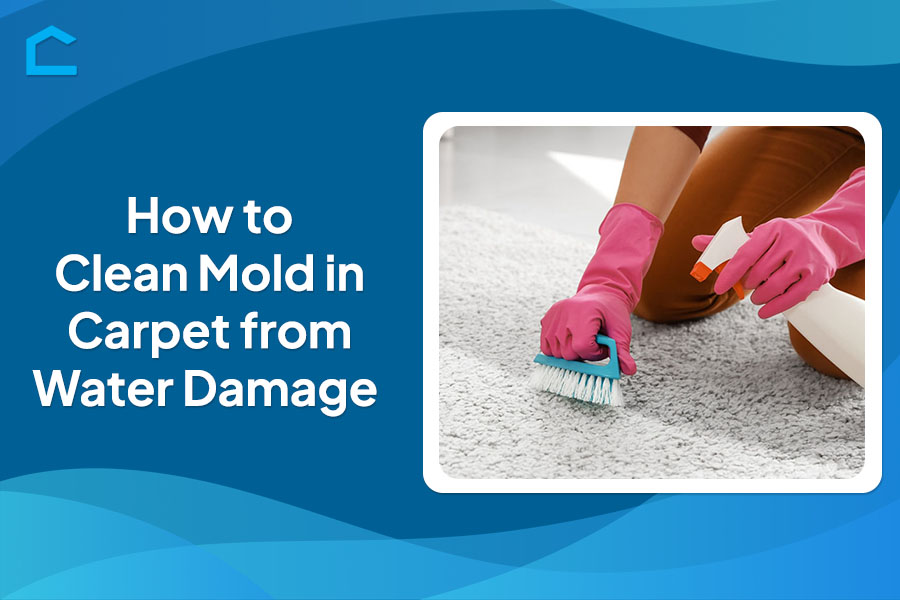 How to Clean Mold in Carpet from Water Damage