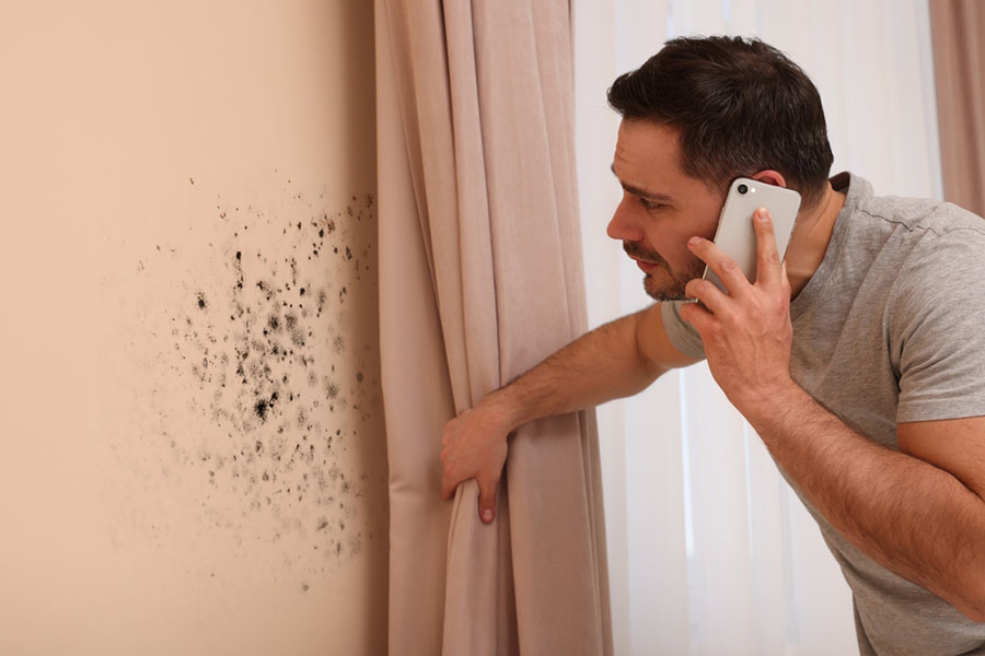 How to Detect Mold in Your House