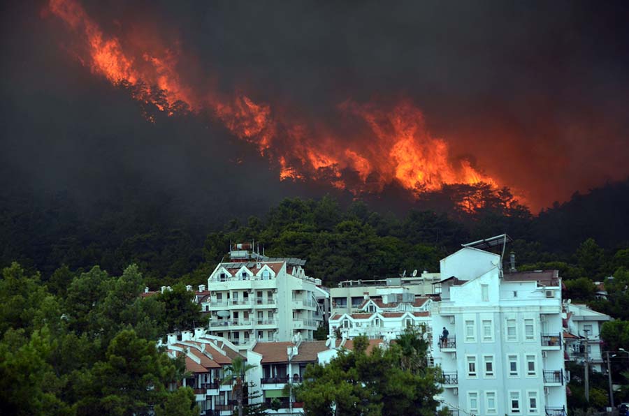 How to Protect Home from Wildfire