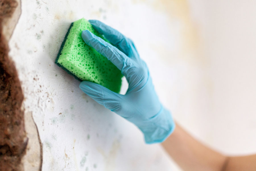 How to Remove Mold Naturally