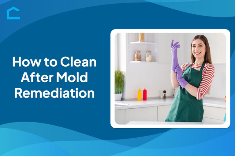 How to Clean After Mold Remediation