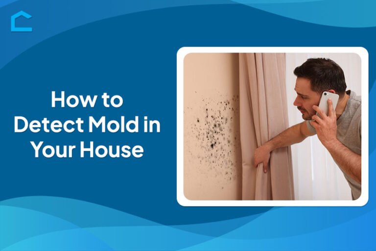 How to Detect Mold in Your House