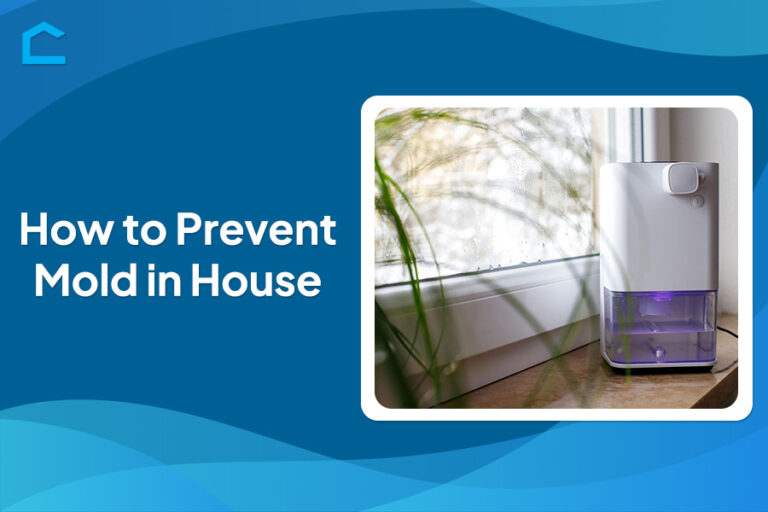 How to Prevent Mold in House