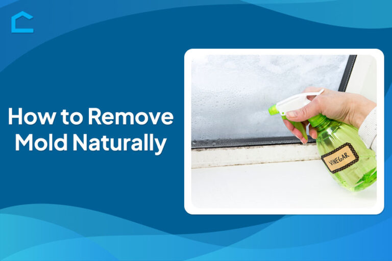 How to Remove Mold Naturally