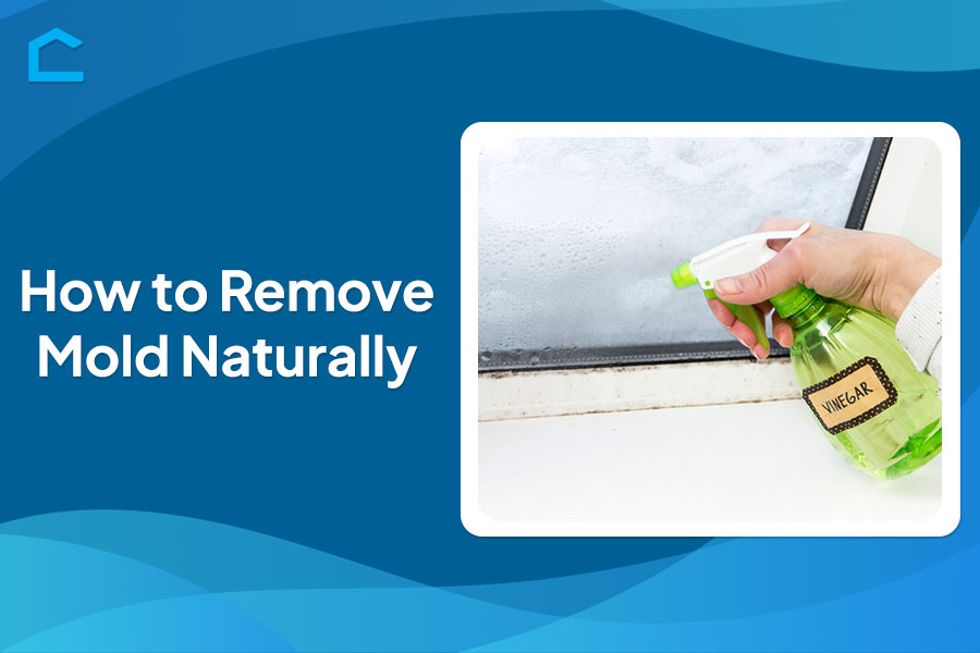 How to Remove Mold Naturally