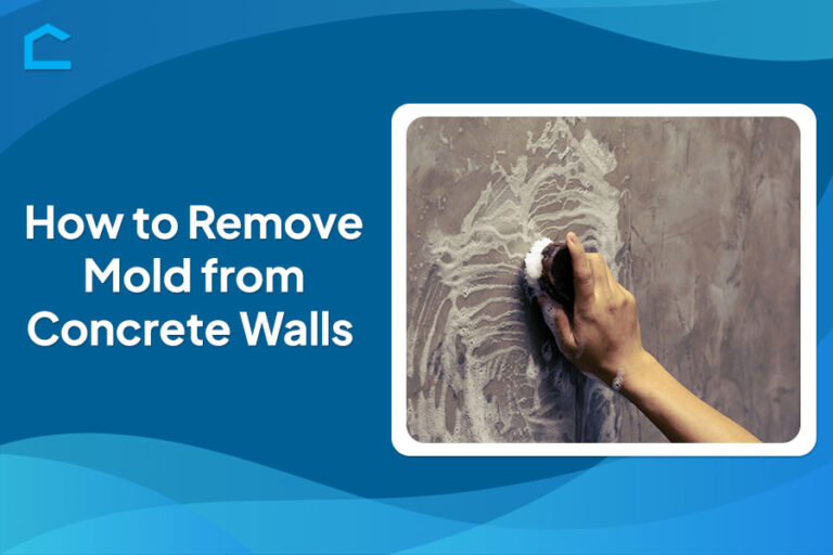 How to Remove Mold from Concrete Walls