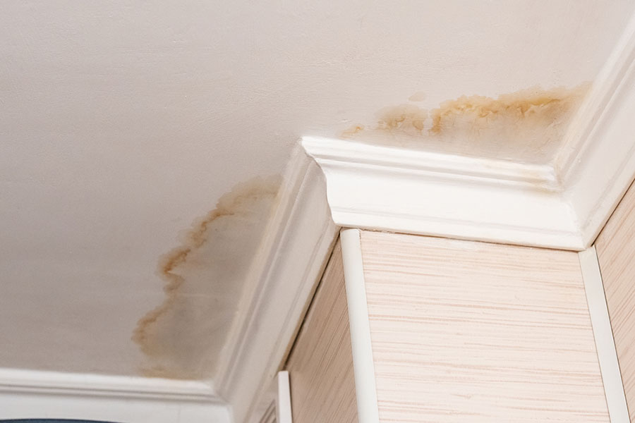 Identifying early signs of mold growth