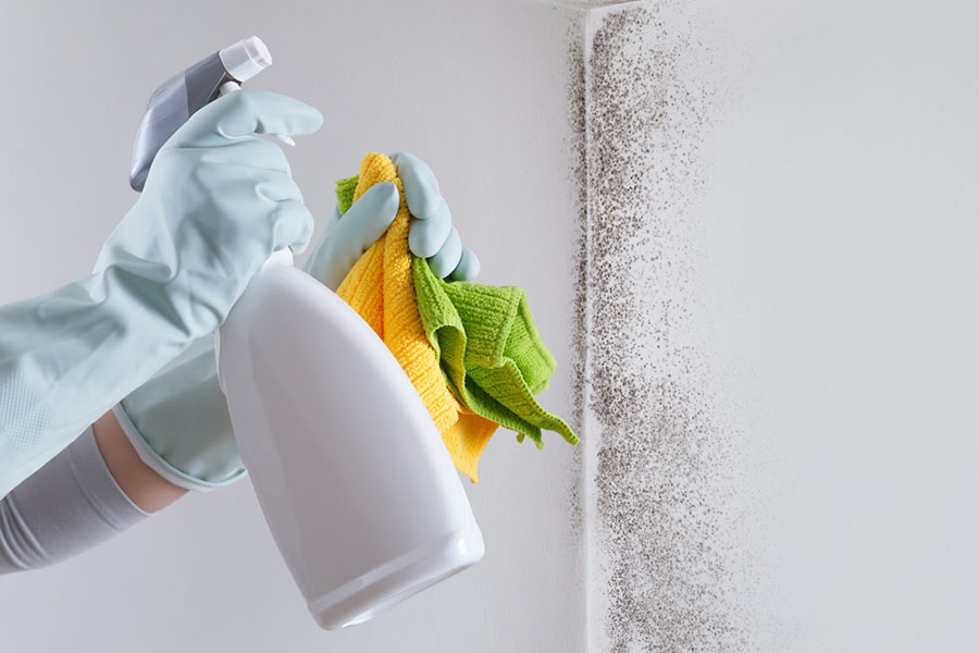 Mold Prevention