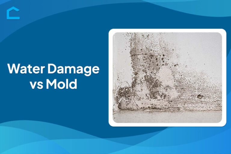 Water Damage vs Mold