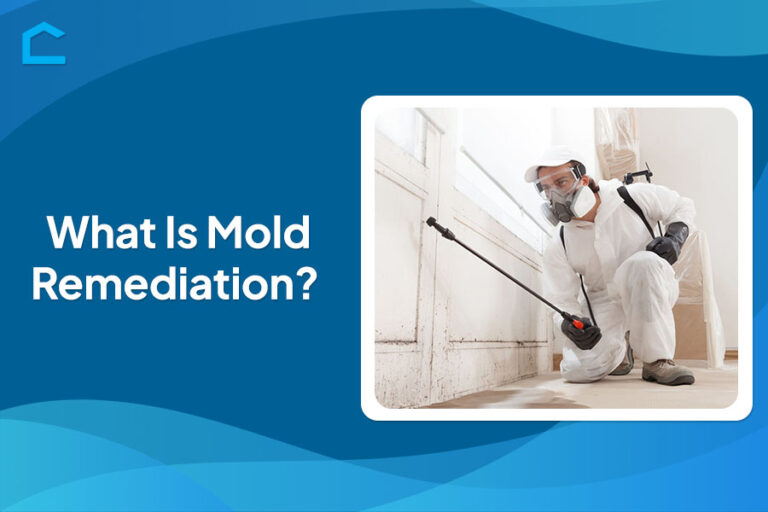 What Is Mold Remediation?