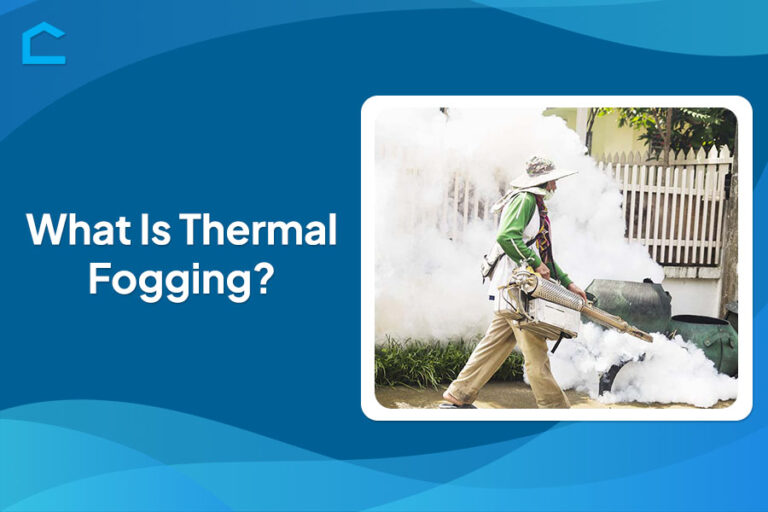 What Is Thermal Fogging?