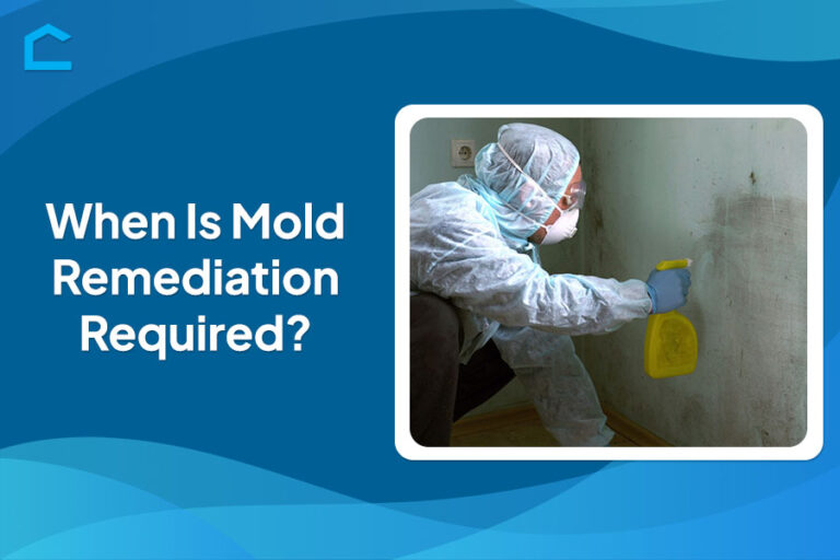 When Is Mold Remediation Required?