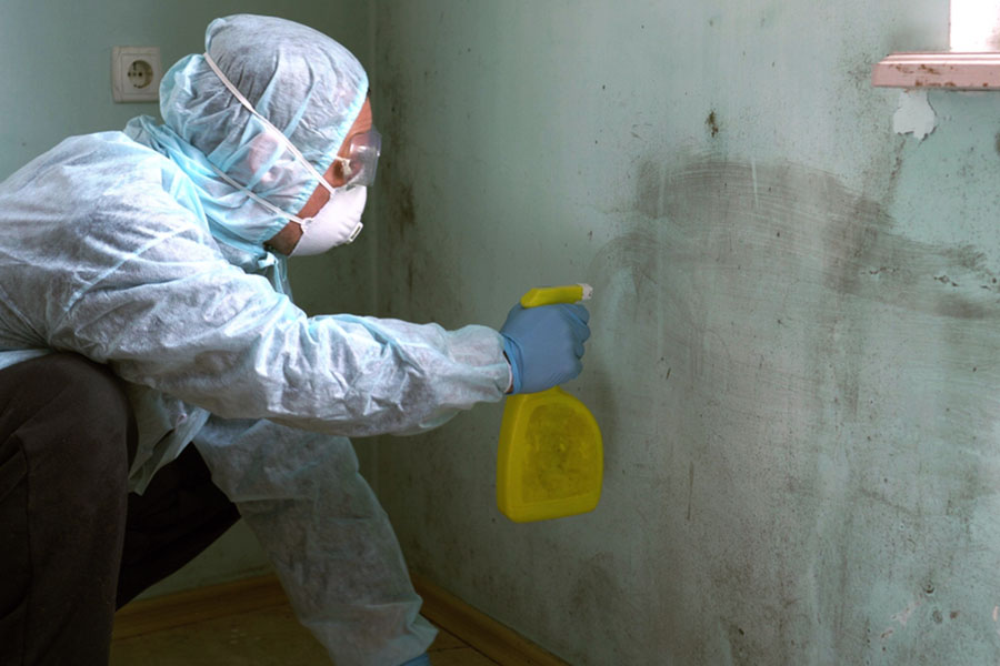 When Is Mold Remediation Required