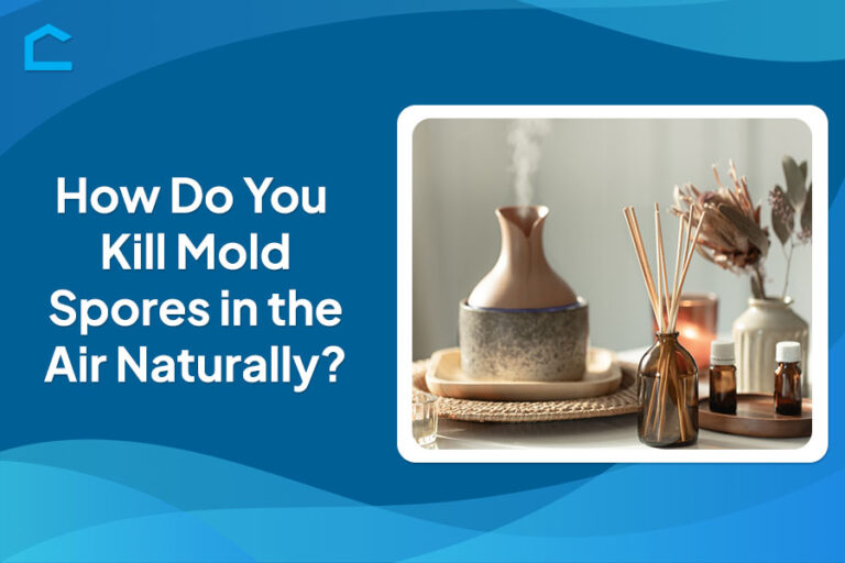 How Do You Kill Mold Spores in the Air Naturally?