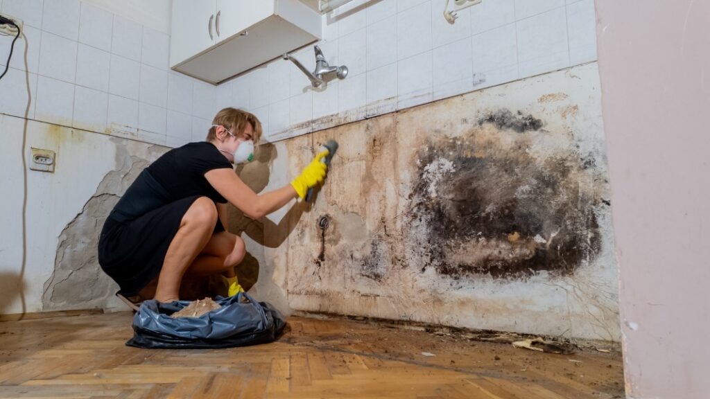 How-to-Remove-Mold-from-Kitchen-Cabinets