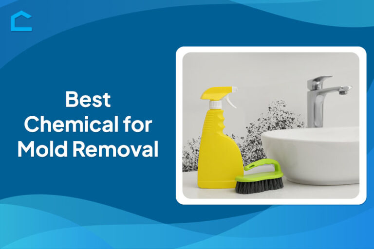 Best Chemical for Mold Removal