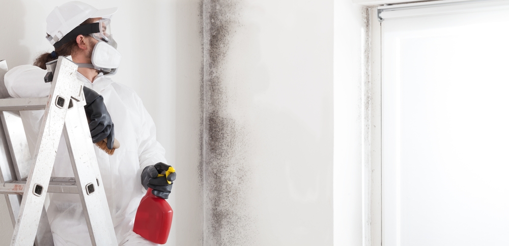 Can Cleaning Mold be Dangerous