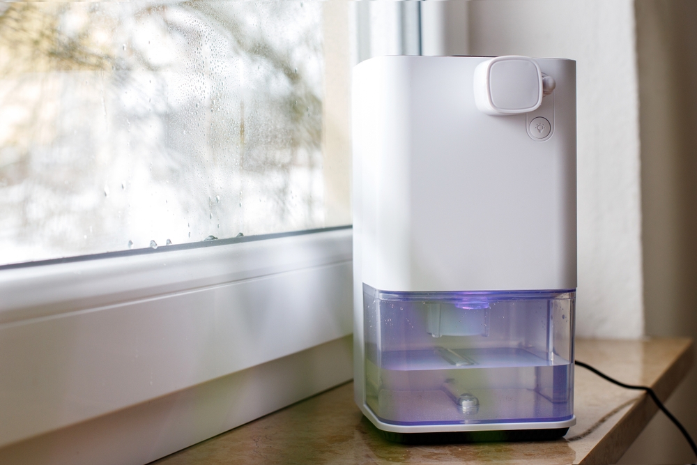 Can Dehumidifiers Help With Mold?