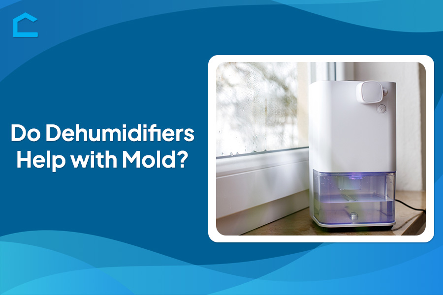 Do Dehumidifiers Help with Mold