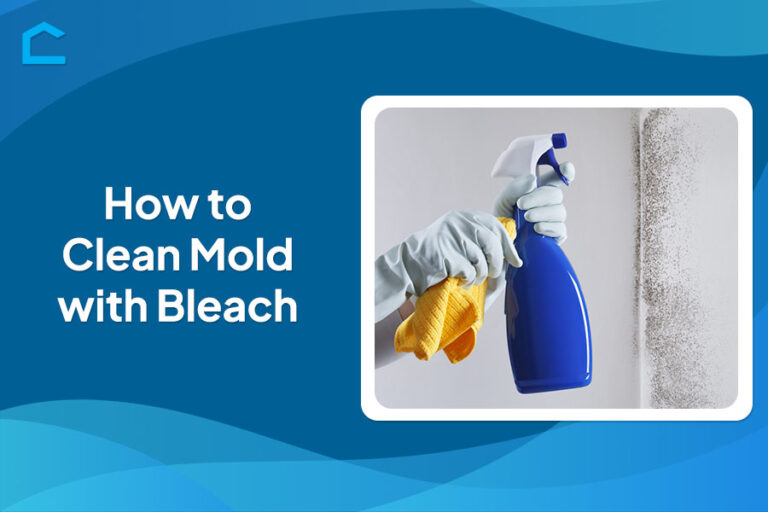 How to Clean Mold with Bleach