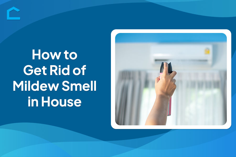 How to Get Rid of Mildew Smell in House