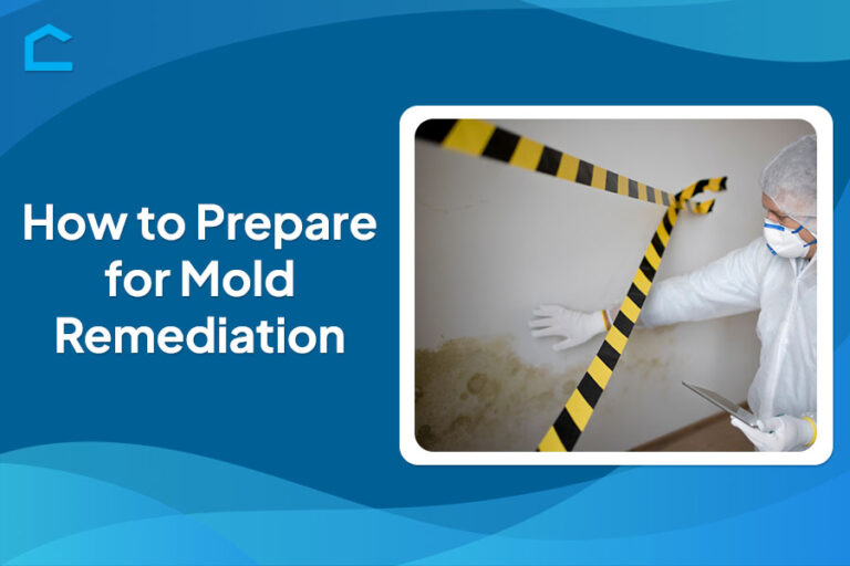 How to Prepare for Mold Remediation