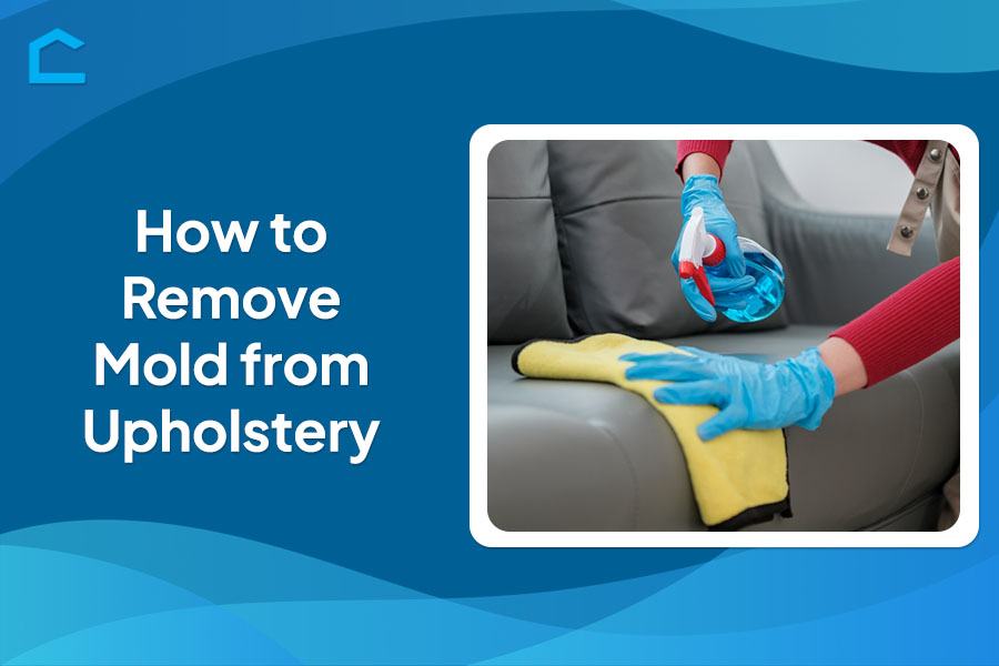 How to Remove Mold from Upholstery