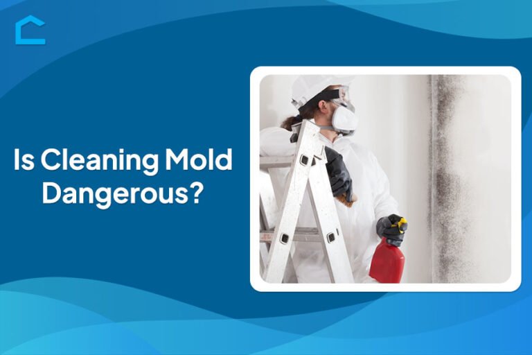 Is Cleaning Mold Dangerous?