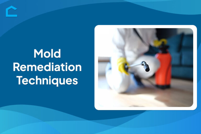 Mold Remediation Techniques