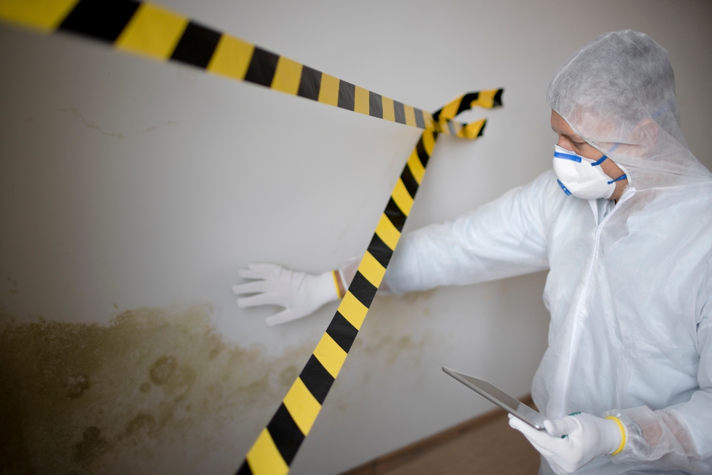 How to Prepare for Mold Remediation