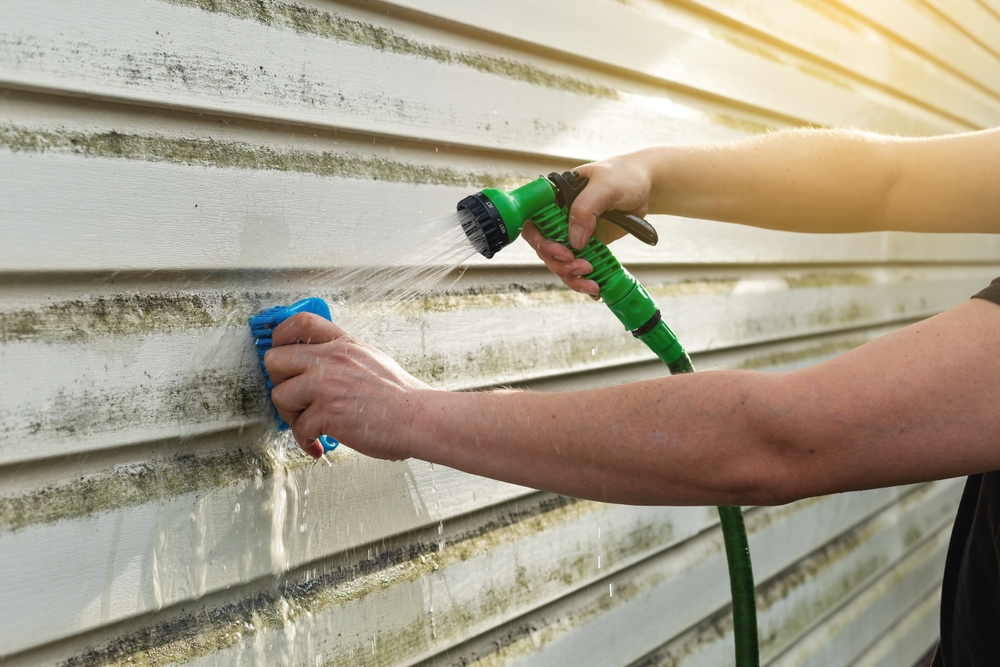 Regular siding maintenance tips