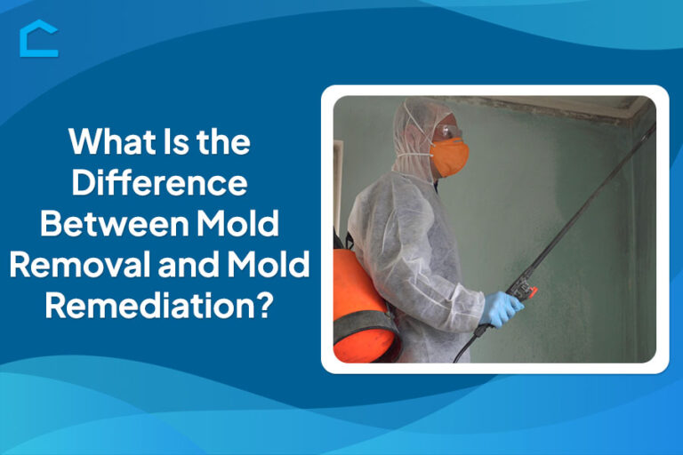 What Is the Difference Between Mold Removal and Mold Remediation?