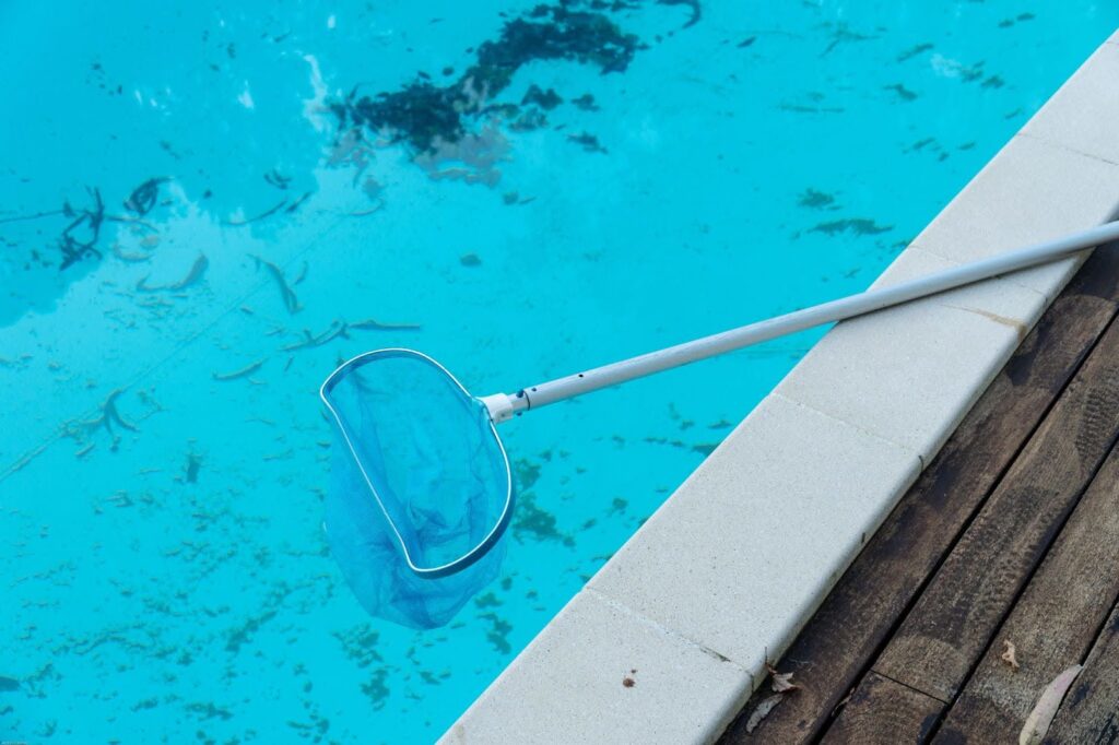 How to Get Rid of Black Mold in Pool